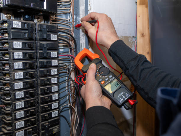 Best Electric Panel Repair  in Mancelona, MI